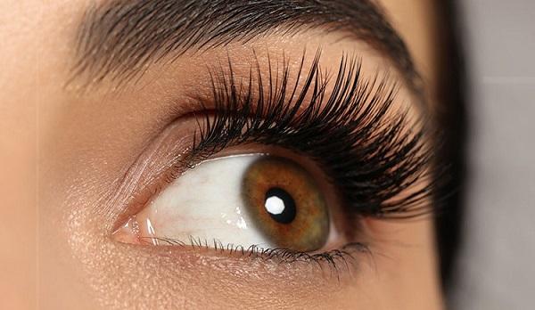 Lash Supplier