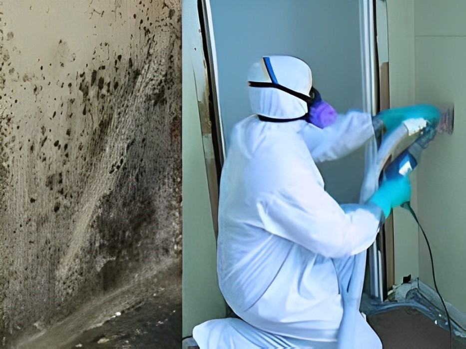 Mould